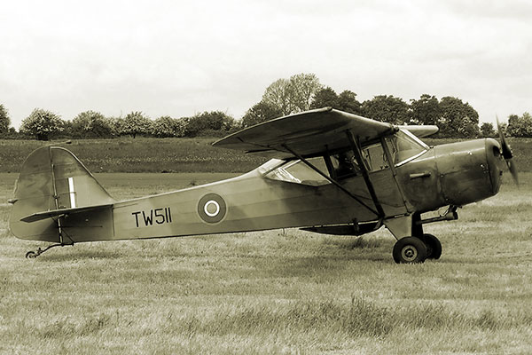 auster auster