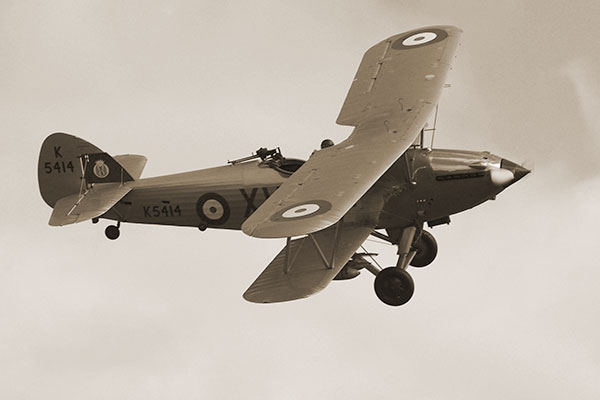 hind hind