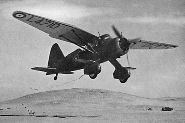 lysander lysander
